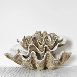 Rustic White & Wood Columbus Clam - Vintage - Polyresin Coastal Decor