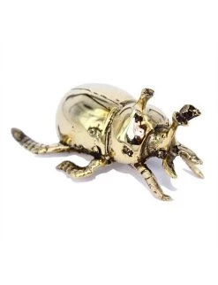 Cheap Rustic White & Wood Store 44 Rustic, White & Wood Mr Pinchy - Stick Nose Beetle Accessories