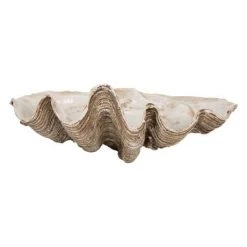 Rustic White & Wood Columbus Clam - Vintage - Polyresin Coastal Decor