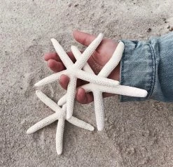 Rustic White & Wood Finger Starfish Coastal Decor