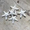 Rustic White & Wood White Thorny Starfish Coastal Decor 1 Rustic White & Wood White Thorny Starfish Coastal Decor