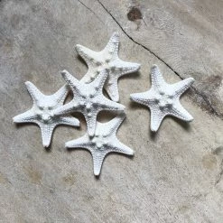 Rustic White & Wood White Thorny Starfish Coastal Decor
