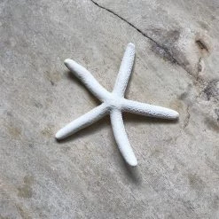 Rustic White & Wood Finger Starfish Coastal Decor