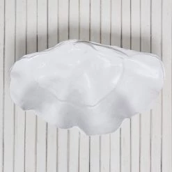 Rustic White & Wood Coastal Decor Columbus Clam - White - Polyresin