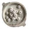 Rustic White & Wood Coastal Decor Sea Urchin - White Knobby 2 Rustic White & Wood Coastal Decor Sea Urchin - White Knobby