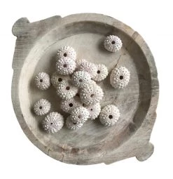 Rustic White & Wood Coastal Decor Sea Urchin - White Knobby