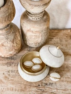 Rustic White & Wood Coastal Decor Mini Shell Purse