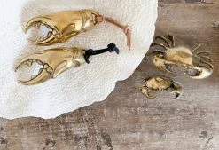 Rustic, White & Wood Accessories Mr Pinchy - Crab Claw Bottle Opener 10 Rustic, White & Wood Accessories Mr Pinchy - Crab Claw Bottle Opener