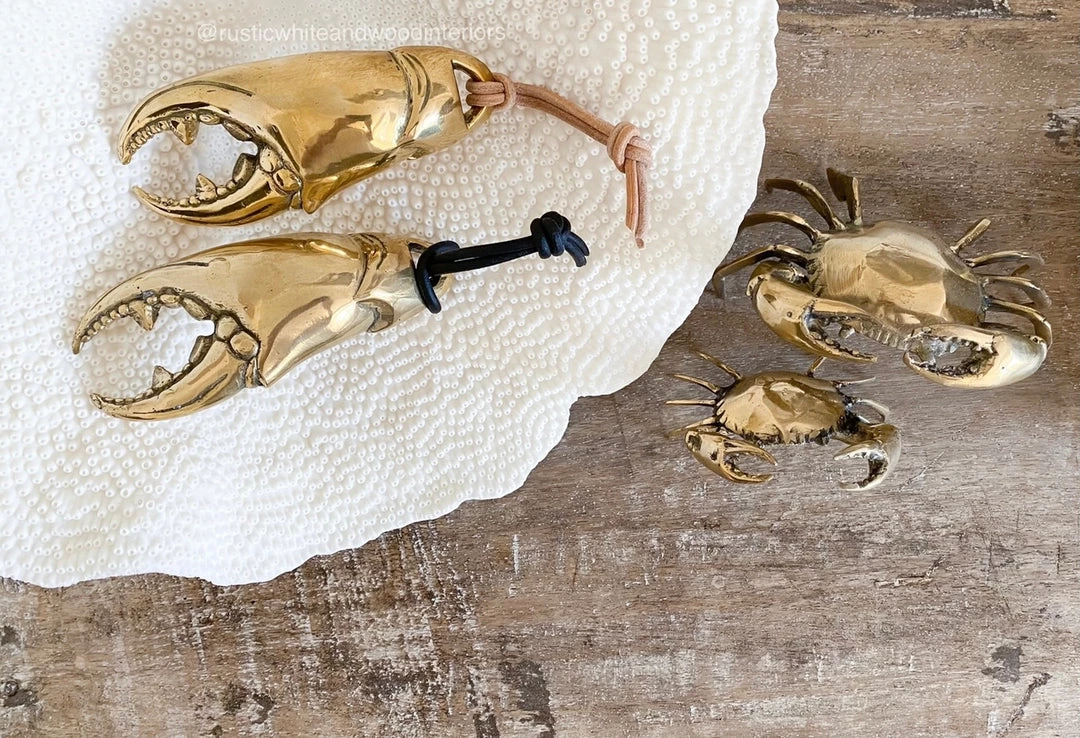 Rustic, White & Wood Accessories Mr Pinchy - Crab Claw Bottle Opener 6 Rustic, White & Wood Accessories Mr Pinchy - Crab Claw Bottle Opener