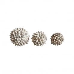 Rustic White & Wood Accessories Spiked Shell Ball