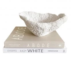 Rustic White & Wood White Coral Bowl - Polyresin Coastal Decor