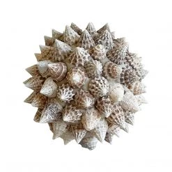 Rustic White & Wood Accessories Spiked Shell Ball