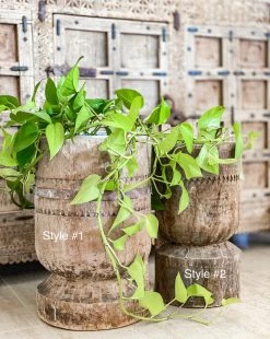 Rustic White & Wood Furniture Vintage Indian Ukhali Pot