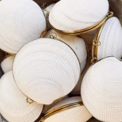 Rustic White & Wood Coastal Decor Shell Purse - Natural 9 Rustic White & Wood Coastal Decor Shell Purse - Natural