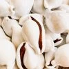 Rustic White & Wood Coastal Decor Cowrie Shells 2 Rustic White & Wood Coastal Decor Cowrie Shells