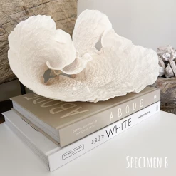 Rustic, White & Wood Turban Vase Coral Coastal Decor