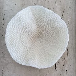 Rustic White & Wood Mini Cup Coral