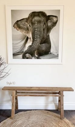 Rustic White & Wood Skinny Elm Bench