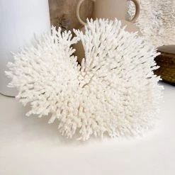 Rustic White & Wood Coastal Decor Plate Coral