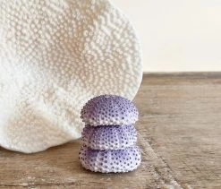 Rustic White & Wood Coastal Decor Sea Urchin - Purple