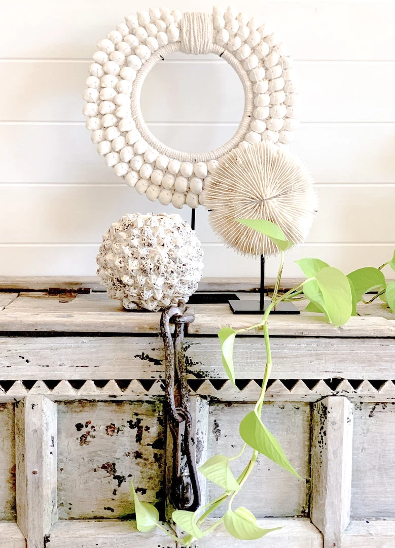 Rustic White & Wood Coastal Decor White Tribal Shell Collar 4 Rustic White & Wood Coastal Decor White Tribal Shell Collar