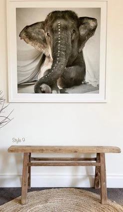 Rustic White & Wood Skinny Elm Bench