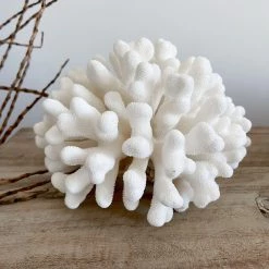 Rustic White & Wood Authentic Coral Pieces - Cauliflower Coral Coastal Decor