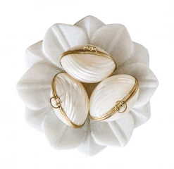 Rustic White & Wood Coastal Decor Mini Shell Purse