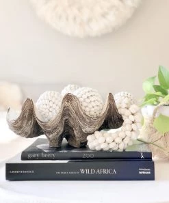 Rustic White & Wood Columbus Clam - Vintage - Polyresin Coastal Decor