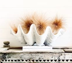 Rustic White & Wood Coastal Decor Columbus Clam - White - Polyresin