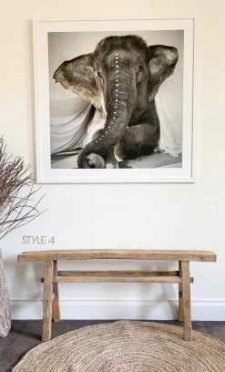 Rustic White & Wood Skinny Elm Bench