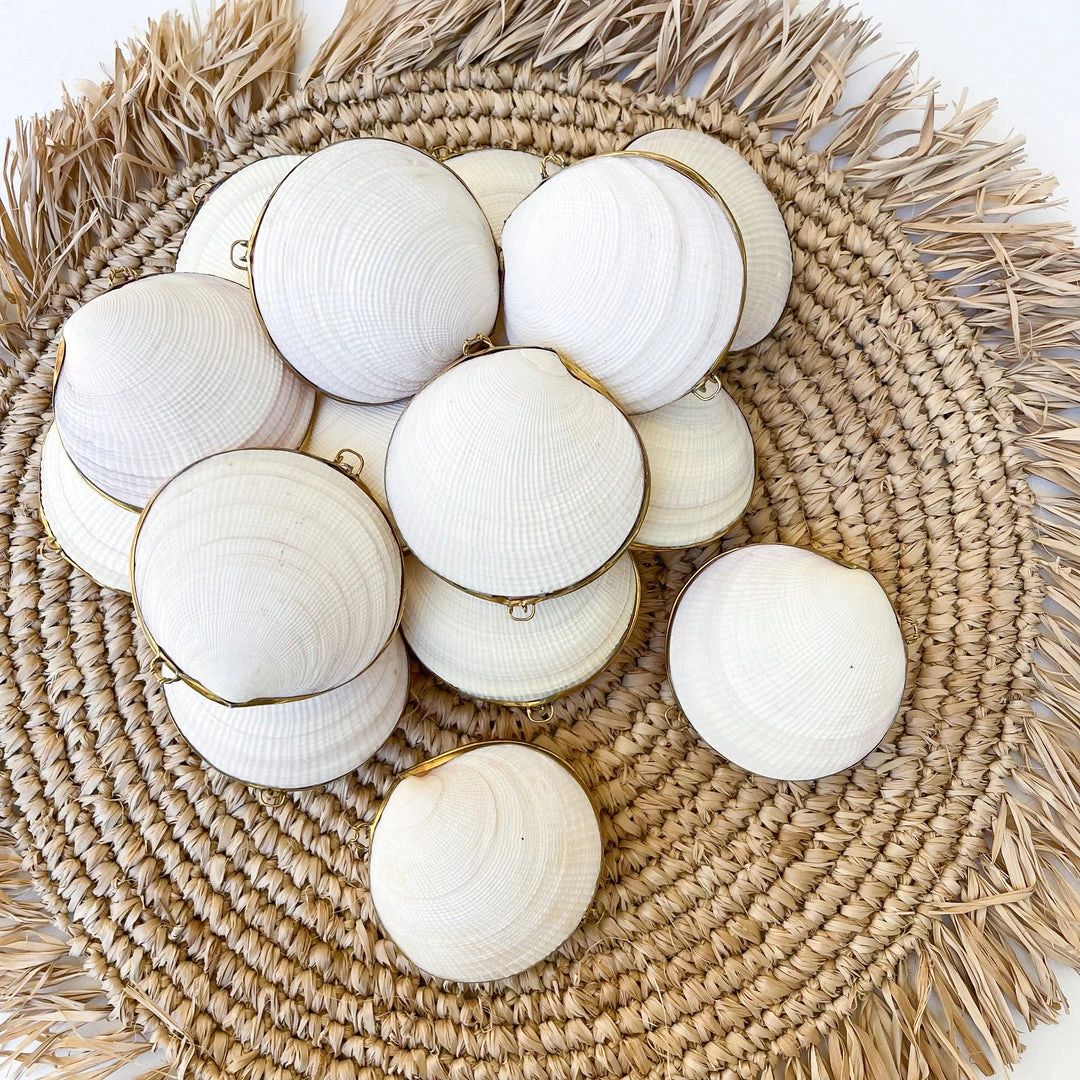 Rustic White & Wood Coastal Decor Shell Purse - Natural 3 Rustic White & Wood Coastal Decor Shell Purse - Natural