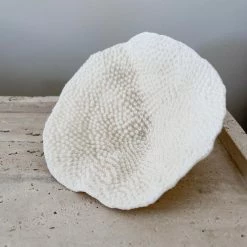 Rustic White & Wood Mini Cup Coral