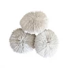 Rustic White & Wood Coastal Decor White Polyresin Fungia Coral