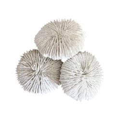 Rustic White & Wood Coastal Decor White Polyresin Fungia Coral