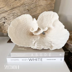 Rustic, White & Wood Turban Vase Coral Coastal Decor
