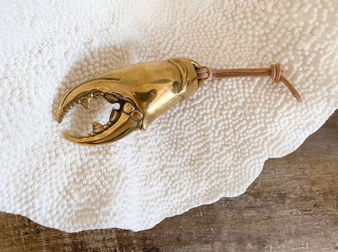 Rustic, White & Wood Accessories Mr Pinchy - Crab Claw Bottle Opener 5 Rustic, White & Wood Accessories Mr Pinchy - Crab Claw Bottle Opener