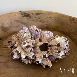 Rustic White & Wood Authentic Barnacle Clusters Coastal Decor