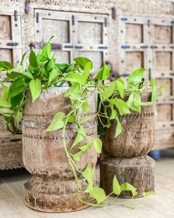 Rustic White & Wood Furniture Vintage Indian Ukhali Pot