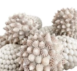 Rustic White & Wood Accessories Spiked Shell Ball