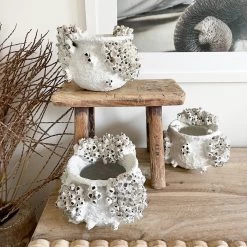 Rustic White & Wood Coastal Decor Barnacle Clustered Pots & Bowls - Various Sizes