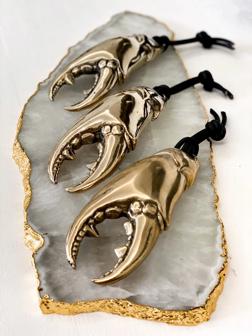 Rustic, White & Wood Accessories Mr Pinchy - Crab Claw Bottle Opener 4 Rustic, White & Wood Accessories Mr Pinchy - Crab Claw Bottle Opener