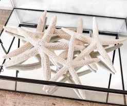 Rustic White & Wood Finger Starfish Coastal Decor