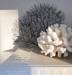 Rustic, White & Wood ABODE Books