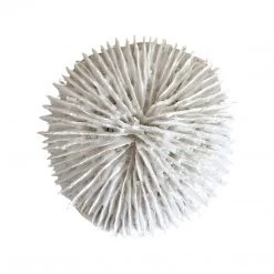 Rustic White & Wood Coastal Decor White Polyresin Fungia Coral