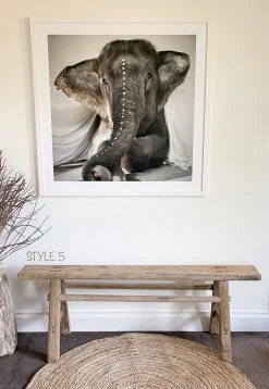 Rustic White & Wood Skinny Elm Bench