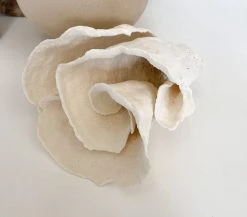 Rustic, White & Wood Turban Vase Coral Coastal Decor