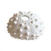 Rustic White & Wood White Polyresin Spiky Sea Urchin Coral