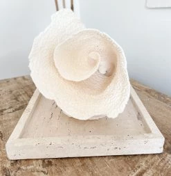 Rustic, White & Wood Turban Vase Coral Coastal Decor