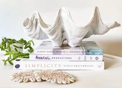 Rustic White & Wood Coastal Decor Columbus Clam - White - Polyresin